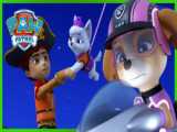 All Paws on Deck!  PAW Patrol Episode  Cartoons for Kids