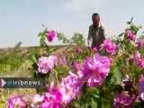 قدرت محمدی بتوی