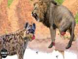 Hyenas Combine With Lions To Destroy Wild Horses But Lets See What Happened