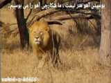 فروشی  ویلا مازندران