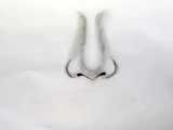 طراحی ساده قارچ