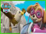 Chase and the Pups Help Mayor Goodway   PAW Patrol Rescue Episode  Cartoons