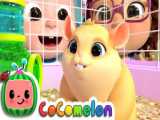 Class Pet Song | CoComelon Nursery Rhymes  Kids Songs