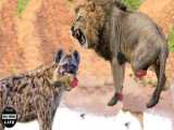 The antelope suddenly went mad to destroy the leopard  causing the hyena to ru