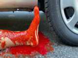 EXPERIMENT: CAR VS PLASTIC FOOT  Crushing Crunchy  Soft Things by Car!