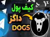 نحوه اتصال ربات DOGs به کیف پول و برداشت