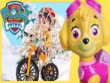 وقت نقاشی با سگ های نگهبان چیس Paw Patrol Chase