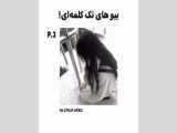 قاب کلمات