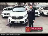 معرفی رفاهیات