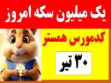 کارت های همستر امروز 30تیر و 31تیر 5 میلیونی | کد مورس امروز 30تیر همستر