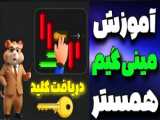 همستر بدو تا دیر نشده پول پارو کن (تضمینی)