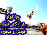 چرا لایک نمی‌کنید