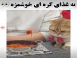این خوراکی کیوت کره ای درست کن