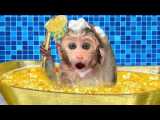 Monkey Baby Bon Bon bath in the toilet and Eats Ice Cream Gold with puppy at t