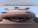 نان ماینکرافت
