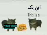 ادیت  سم
