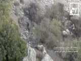 (ویدئو) ثبت تصویر یک پلنگ ایرانی در ارتفاعات لرستان