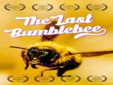 مشاهده رایگان مستند آخرین زنبور عسل زیرنویس فارسی The Last Bumblebee 2024