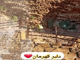 حسین سلیم نژاد، دلبر قهرمان 