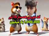 کد مورس همستر ۱۴ مرداد