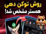 کارت های کمبو برای دریافت پنج میلیون سه رایگان همستر کمبت