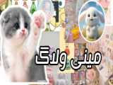 ~مینی ولاگ~