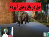 باغ وحش خودمو تاسیس کردم! بهترین باغ وحش شدم دنیا در بازی Zoo Simulator