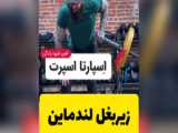 کلیپ برای رئال فناا