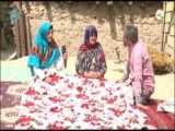 قسمت دهم | رفیق جا نمونی