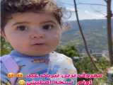 تبریک عید نوروز به همه زبان