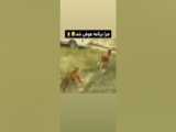 ماین کرافت سید