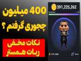 به مدت 24 ساعت با همستر زندگی کردم 9