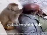 دوبله بلوچی