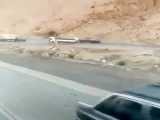 جشن 500تایی