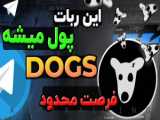 تغییر تاریخ لیست شدن ربات داگز DOGS انتقال داگز به تونکیپر