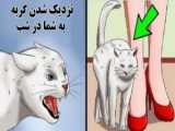 تایم لپس | نقاشی | بچگیم vs الان (از این نوع ویدیو ها دوست دارین؟ بازم بذارم؟)