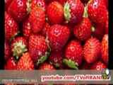 ۱۳ روش سفید کردن دندان ها در منزل