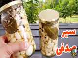 طرز تهیه سیر ترشی صدفی ترد و خوشمزه