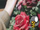 تیتراژ قطب شمال
