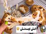 طرز تهیه کوکی | این کوکی یا پنیر پیتزا ؟؟؟