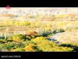 موزیک ویدئو بختیاری- دمدال عشق