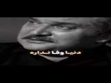 بدون تعارف با پدر شهید
