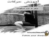 صفر تا صد حرکت اسکوات