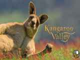 مستند دره کانگورو Kangaroo Valley 2022 زیرنویس فارسی