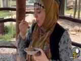 آشپزی در طببعت&این قسمت:حلوا با چای آتیشی