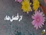 کلیپ کوتاه ودلنوشته عاشقانه