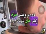 چرا قهوه می‌نوشید؟