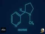مزایا و معایب مصرف نیکوتین در بدن بدون در نظر گرفتن قلیون و سیگار