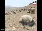 این عنوان انگشتر نقره را بدون تغییر مفهوم تغییر بده