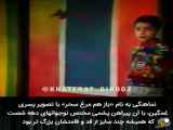 نستالجی|| نماهنگ باز هم مرغ سحر